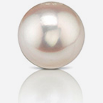 Japanese Akoya Pearls